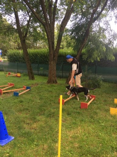 Slow-Motion-Kurs