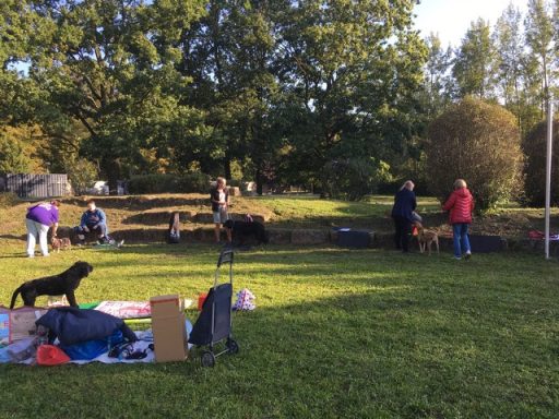 Outdoor Workshop- Erste Hilfe am Hund