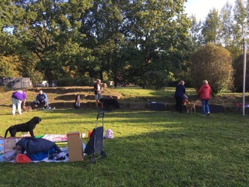 Outdoor Workshop Erste Hilfe am Hund