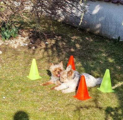 4-2-Gemeinsam(er) Sommerspaß