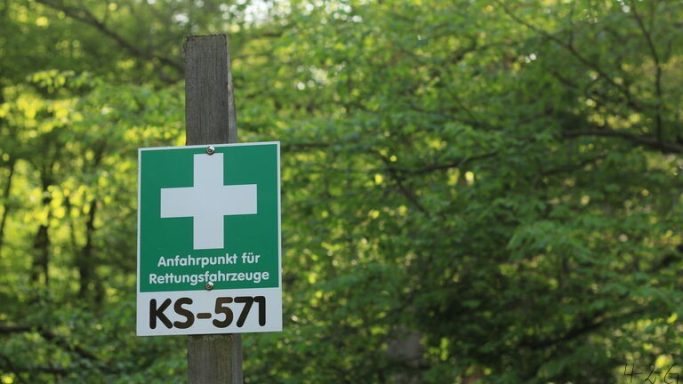 Outdoor Workshop - Erste Hilfe am Hund